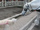 Sabrina loved seeing the horses at Niagara On The Lake