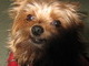 June 7 2000-0ct 23 2011