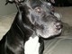 My Handsome Boy!