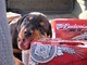 Titus :)