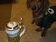 He was Mug of the Day on channel 8 WKBT