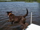Swimming, swimming & more swimming...
