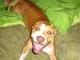 my baby axle smiling