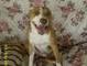 Axle