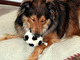 One of the toys he loved