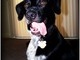 Mr. Jakes