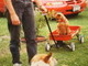 Kendall in his Lil Red Wagon