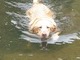 she loved to swim!