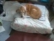 Her last day, last few hours