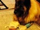 his favourtie toy