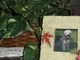 My memories