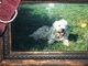 My memories-you look so happy in the sunshine