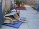 She loved sitting outside with us!!