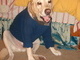 photo caption