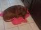 Waiting while I cook