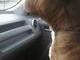 Riding in car