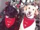 Their first Christmas photo