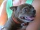 July 31, 2004 Penny's first day with us