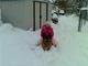 Trinity and bear playing in the snow
