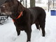 Snow Day!