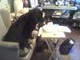 Eating my Food