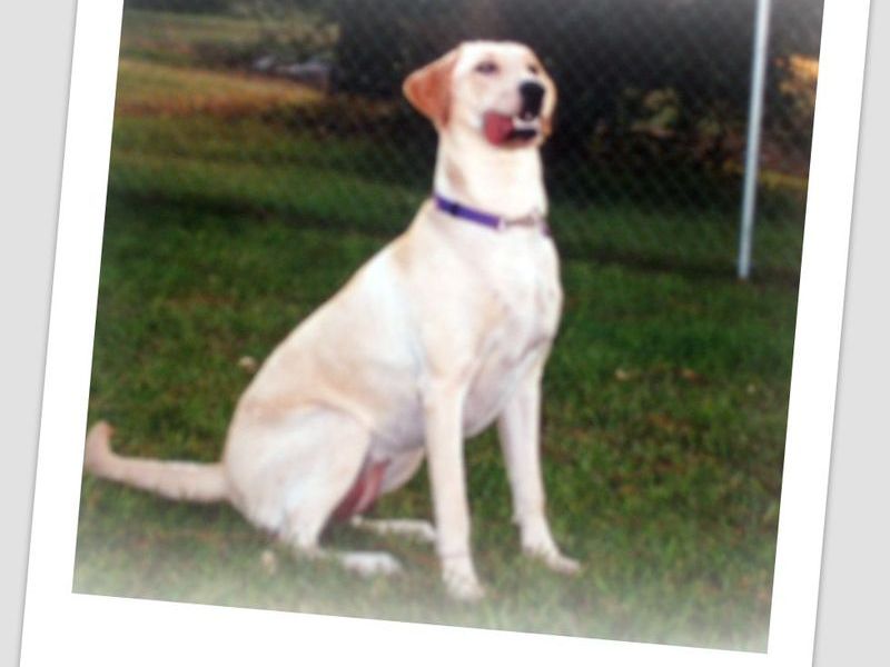 photo caption