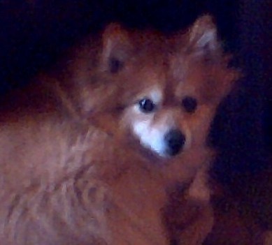 after his bath