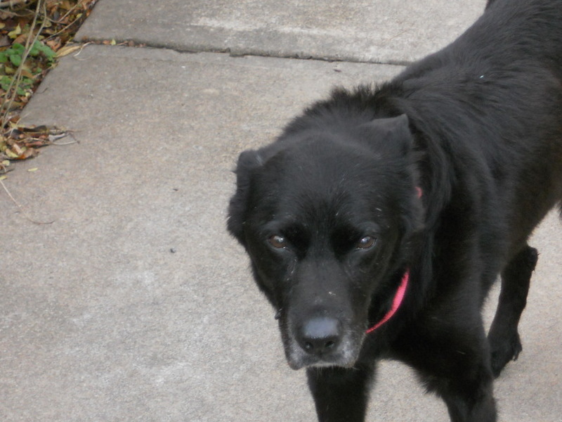 12/30/11 she had a rough night it was time