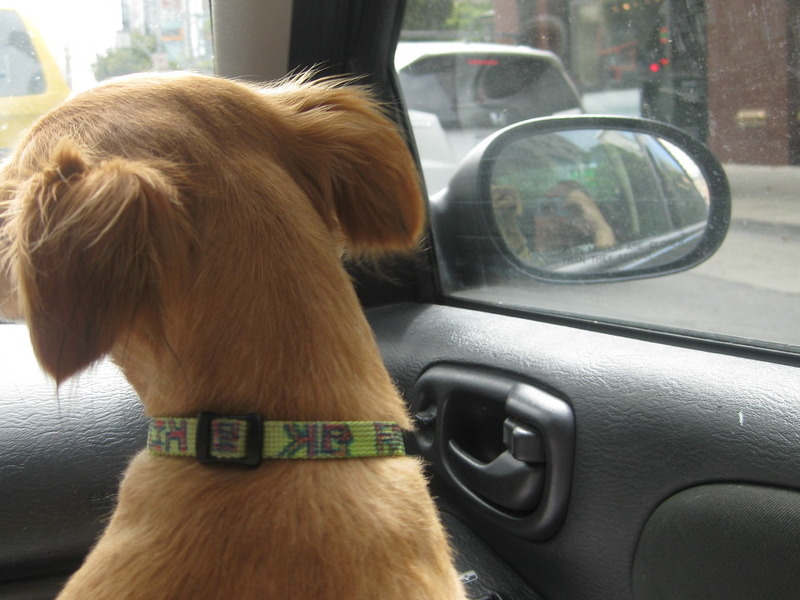 checking out the city of San Francisco