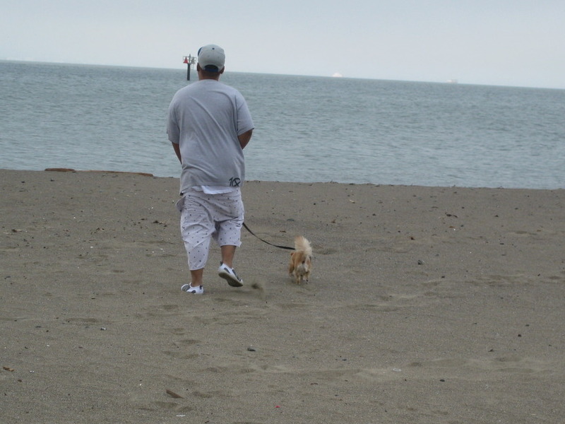 daddy & chewy walking on the beach