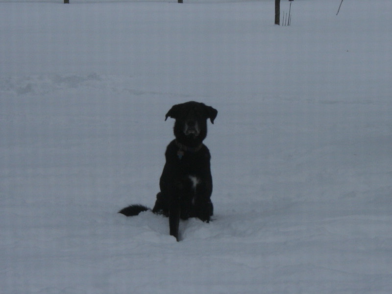 He loved the snow.