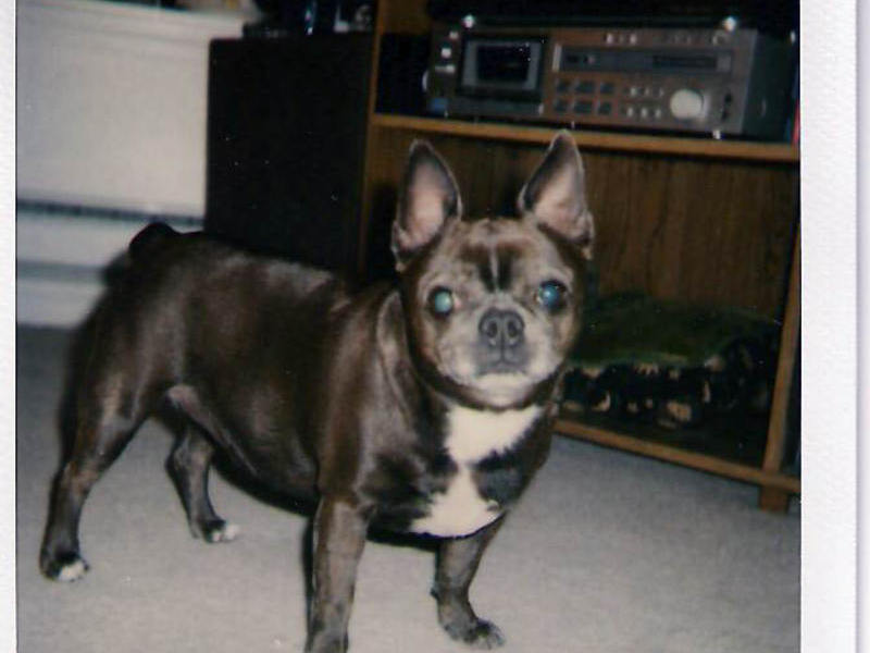 2004, Penny's 1st Thanksgiving with us