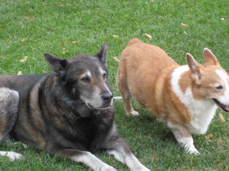 Dakota with Older brother Mo.