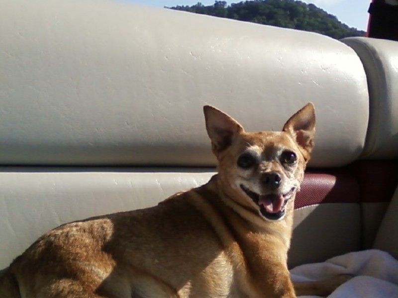 Harley on her new boat, she didn't get much time to enjoy it