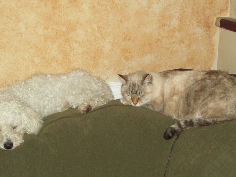 photo caption