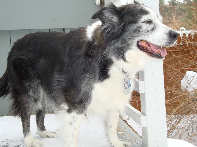 Feb 2011 - loves the snow!