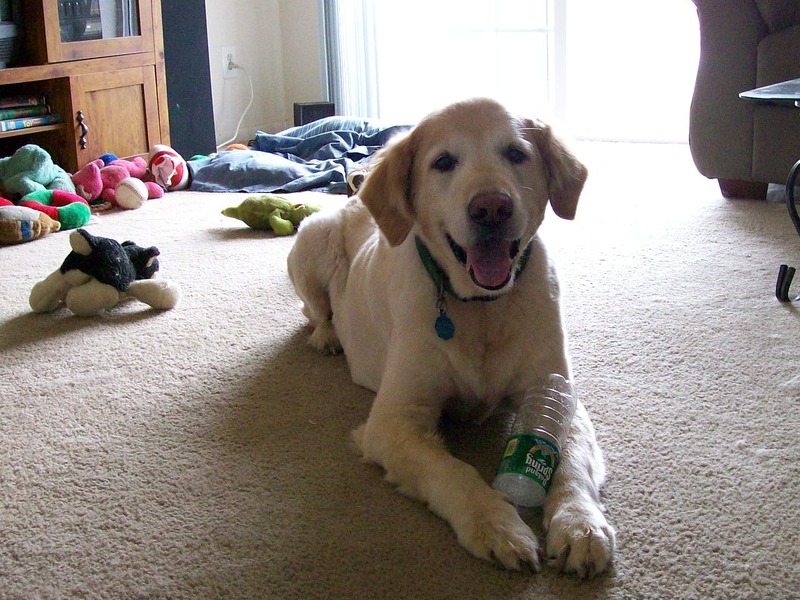 Plastic bottle. Oh, happy days!