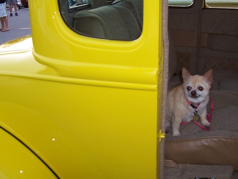 SANDY IN OUR ANTIQUE CAR AT A CAR SHOW