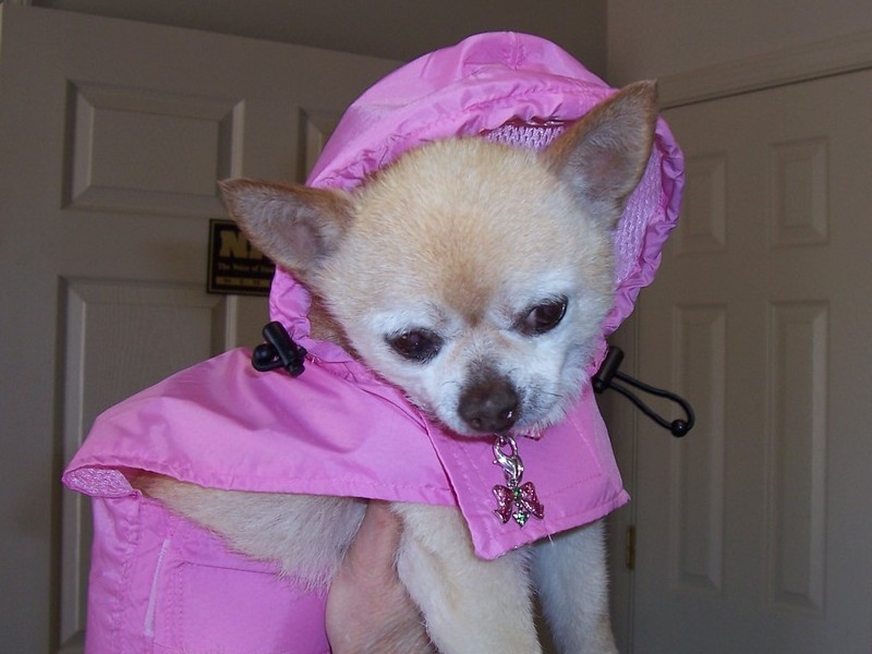 SANDY IN HER RAINCOAT