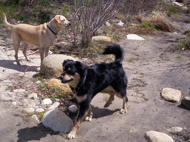 Montana and sister Reba