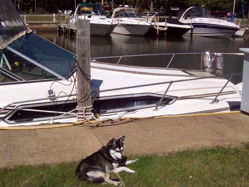 Chillin' at the Yacht Club