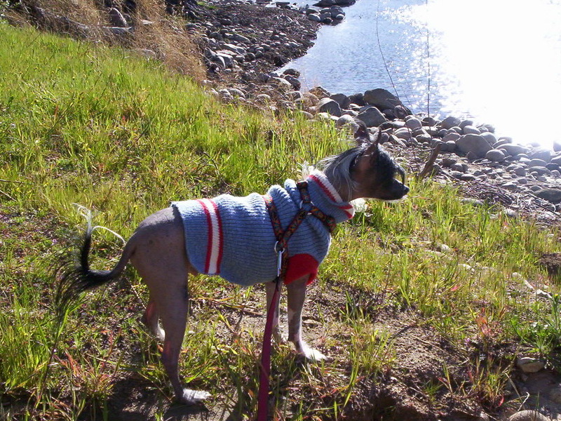 Joey at the Kern River 2006