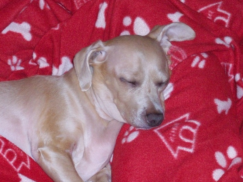 Sleeping Beauty