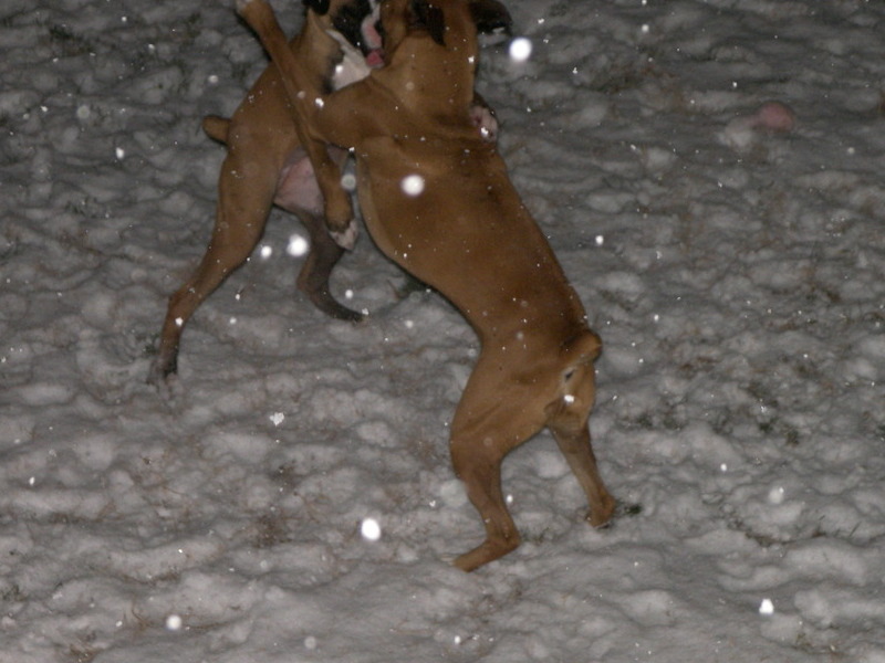Playing in the snow with brother