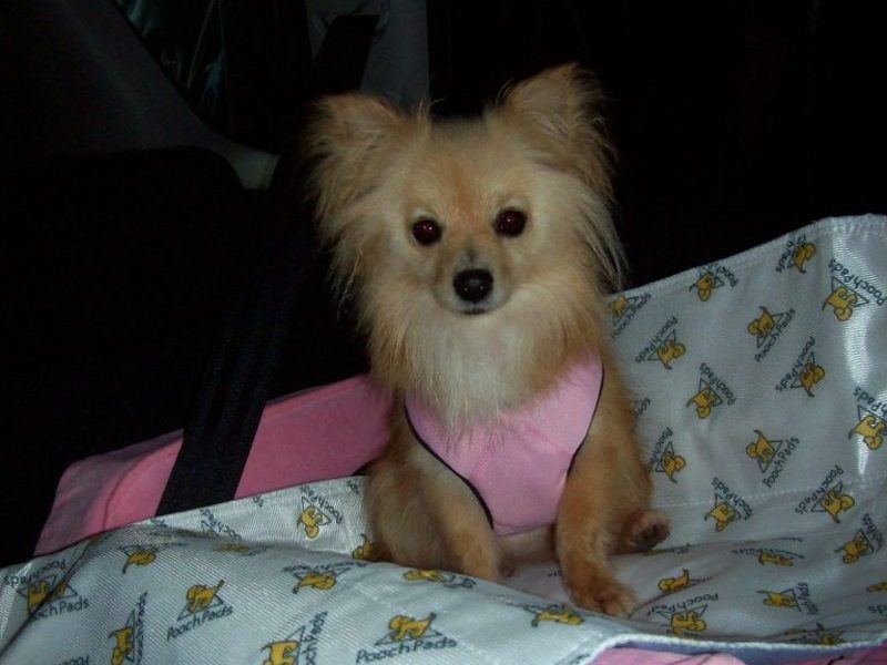 sitting in her new car seat