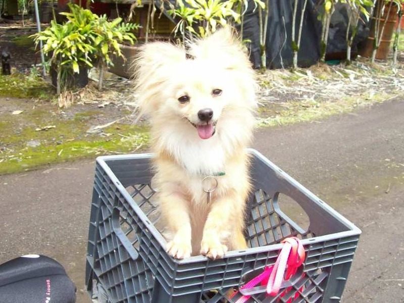 smiling in the back of the bike