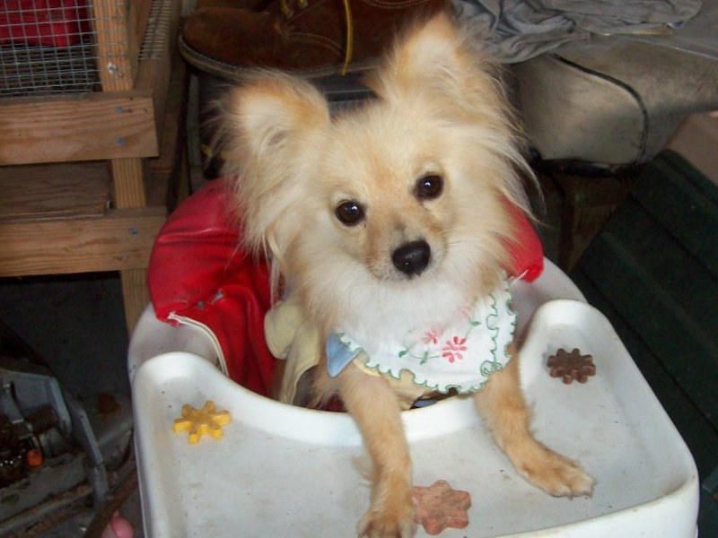 san in a old walker
