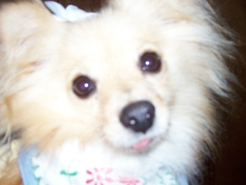 Last picture taken of her in June 2009.