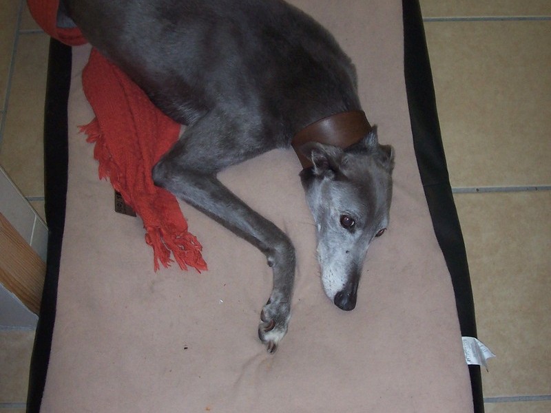 Poorly jake!