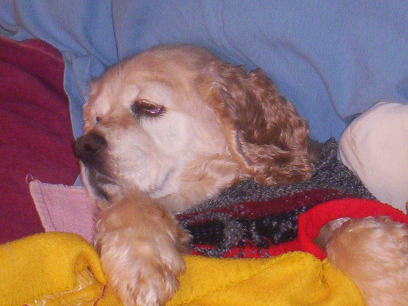 Daddy just tucked me in